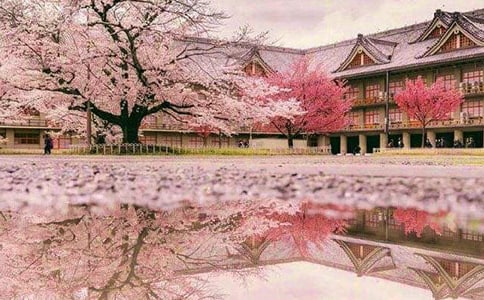 �ѻ���ă�(y��u)��ɢ��