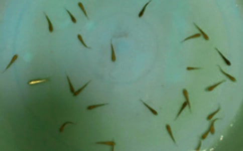 �~���ͬ�������T