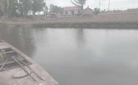 魚塘承包合同【精華15篇】