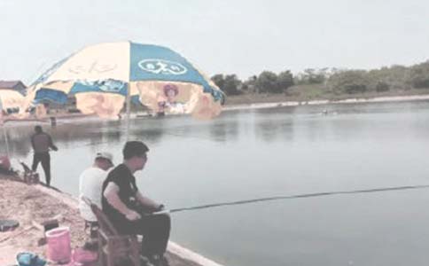 關于魚塘承包合同范文集錦八篇