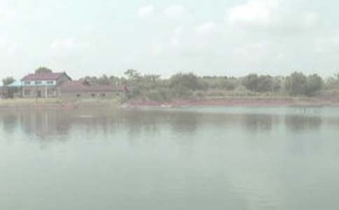 �~���D(zhu��n)׌��ͬ�ϼ�15ƪ