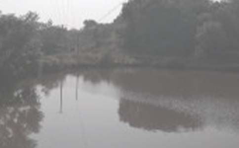 ���l���~������(�ϼ�6ƪ)