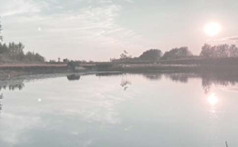 �r���~���а���ͬ �����x18ƪ��