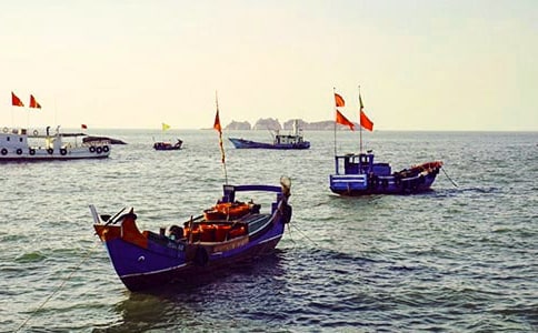 �۞��ĝO��ɢ��