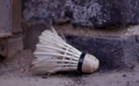 ��ë��Ć�ʾС�W(xu��)����