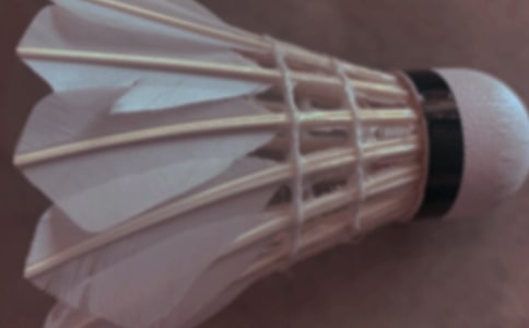 暑假打羽毛球日記(通用30篇)