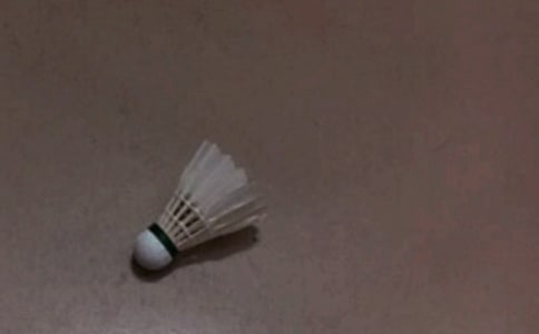 ����ë������10ƪ