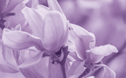 ��x�����m����ӛ����ԇ�}����