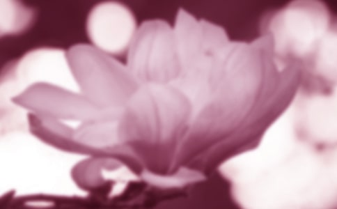 �����m�����^����ӛ