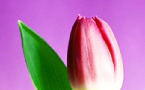 С�W������ϲ�g������