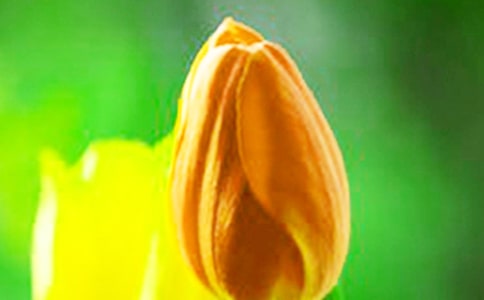 �^����������ӛ500�֣����x47ƪ��