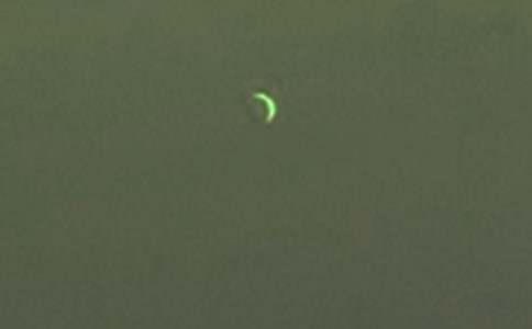 月亮的作文匯編9篇