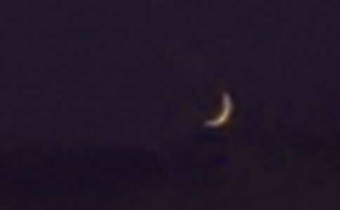 �S�P�ҵļ�į����������