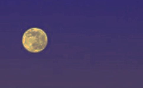 �A��ȱ�f�Ҹ�ɢ��800��