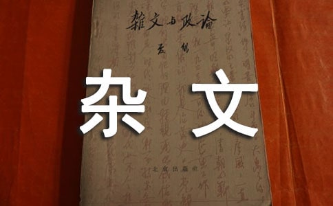 孵化營課后感雜文