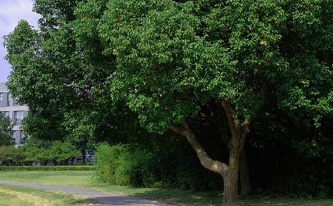 2022年有關適合早上發的早安心語朋友圈36條