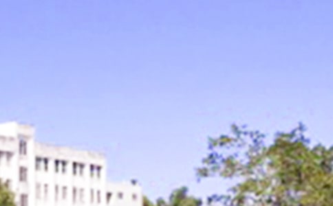 2023�꽛�����õ��簲�����Z����26�l