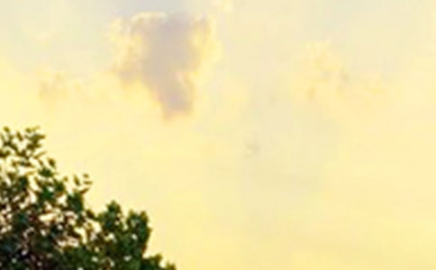 �����T��2021���ů���簲���Z����Ȧ��ϼ�52�l