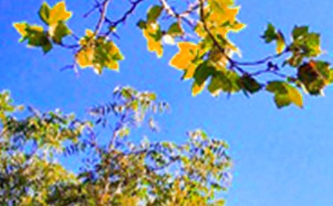 ���xΨ�����簲����Ȧ��(w��n)���Z(y��)40��