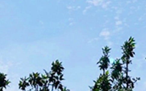 ���õ��簲΢�ņ����Zժ�47��