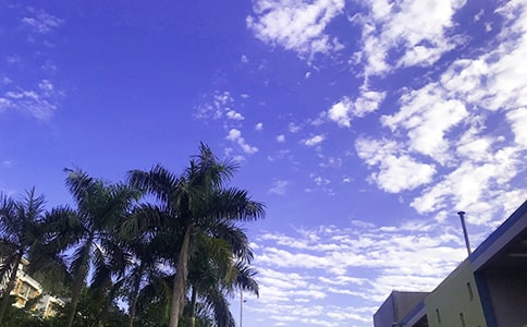 �����A���簲����Ȧ�����Zժ�52��