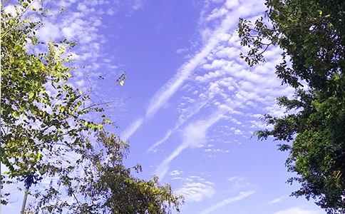 2022�����P��־�簲�Z�ժ�90�l