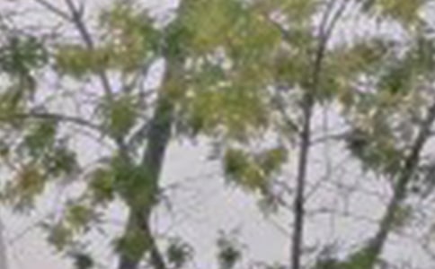 �����T���°��簲QQ�����Z��R��62��