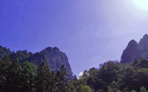 ���ҽ�����Դ�����~