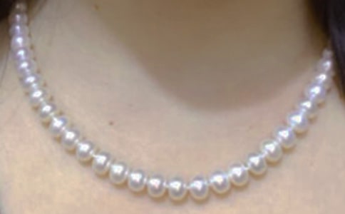 ������ָ�p�g�����顷��x����