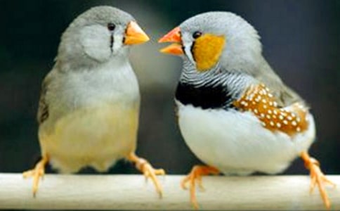 �n�������B��(y��u)���f�n��