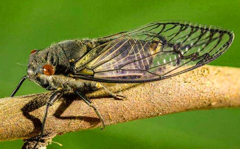 �^��֪����ӛ300������