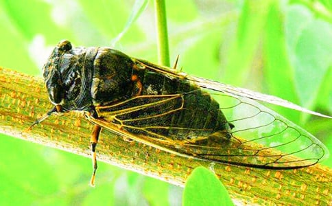 ֪�˵�����(����15ƪ)