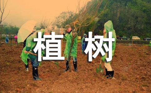 ���xֲ������600�֣�ͨ��53ƪ��