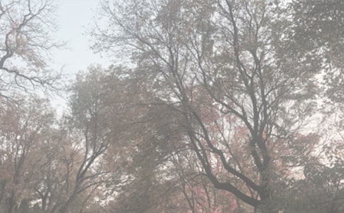 ֲ��@������ӛ