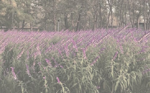 ���^ֲ��@�ĵ��w�����ģ�ͨ��5ƪ��