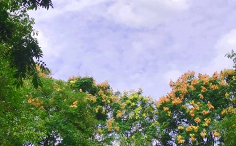 早晨從中午開始讀后感