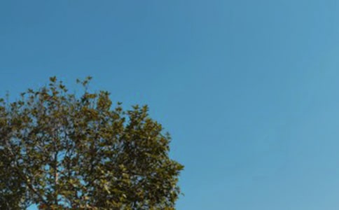 中午睡覺遲到檢討書