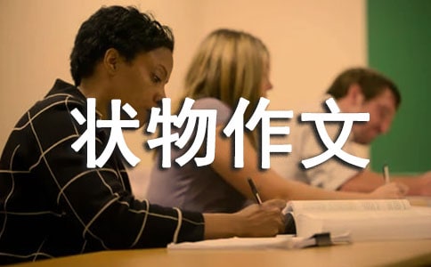 �՚�ը����꼉�������ģ����x12ƪ��