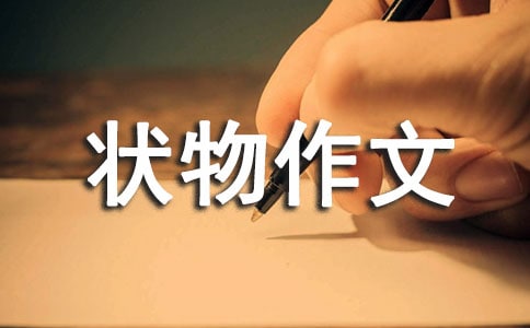 【推薦】狀物作文匯總7篇
