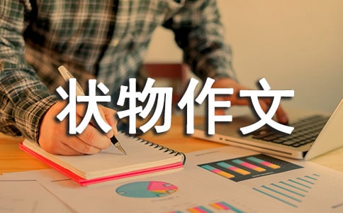 �L��������