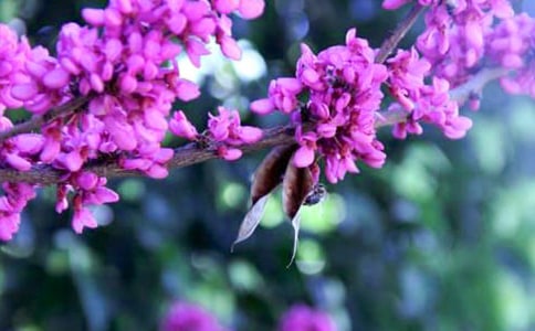 ���G��ɢ����ƪ