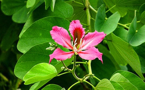 �P(gu��n)�����G��������Ԋ��