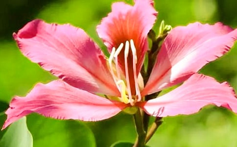 ���G�����x���һ����и������