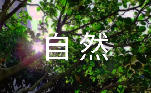 ����Ȼ֮����f�n��