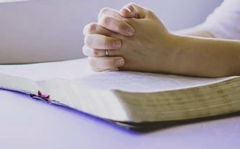 �������P�ڱ����L���t�����������Ŀ��Y