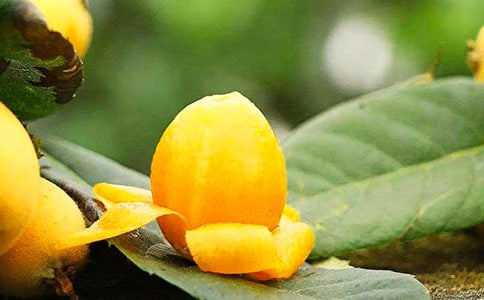 ���l(xi��ng)����������20ƪ