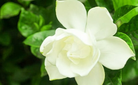 �d�ӻ�Ц����x��������