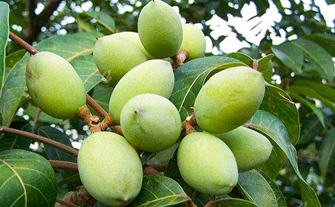 ��ɫ�ϙ���x�������800��