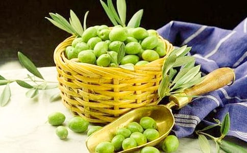 白色橄欖樹的讀后感(通用7篇)