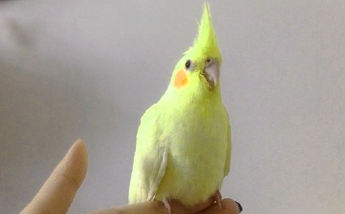 ��Ƥ�W�^���ļ��\(15ƪ)